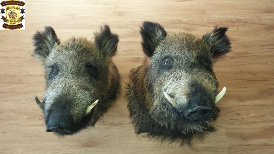 koželužna ovčí kůže přírodní ovčí koberec výrobce velkoobchodní sklad Polsko 12