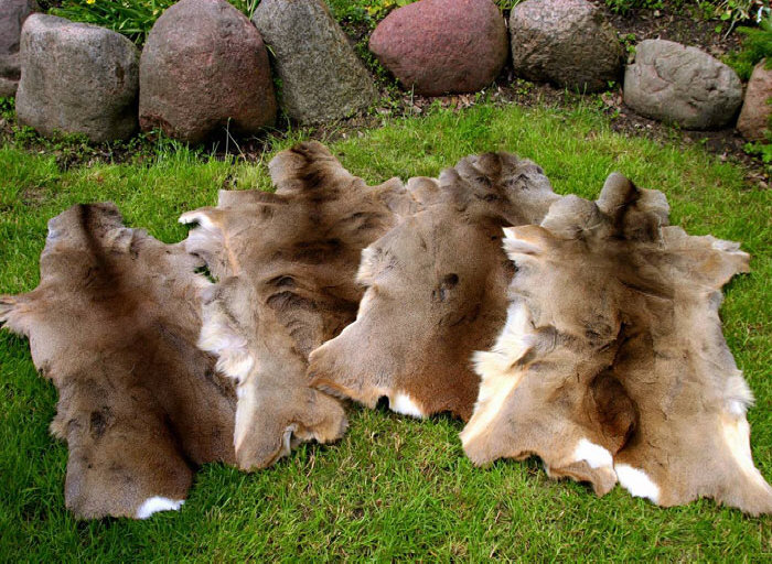 koželužna ovčí kůže přírodní ovčí kůže výrobce koberců velkoobchodní sklad Polsko