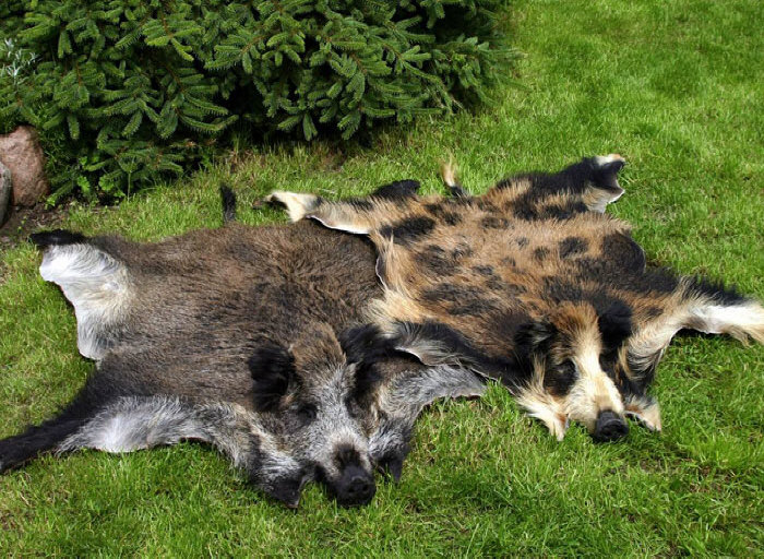 koželužna ovčí kůže přírodní ovčí kůže výrobce koberců velkoobchodní sklad Polsko